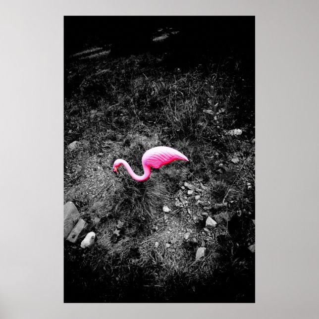 Poster flamingo rosa (Frente)