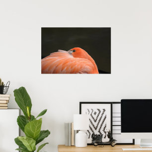 Poster Flamingo rosa