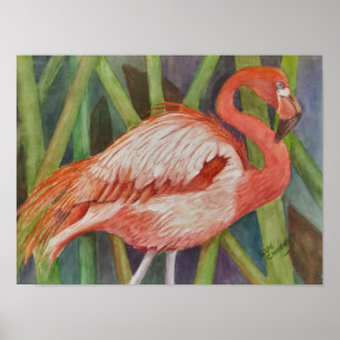 Poster Flamingo Rosa Excelente