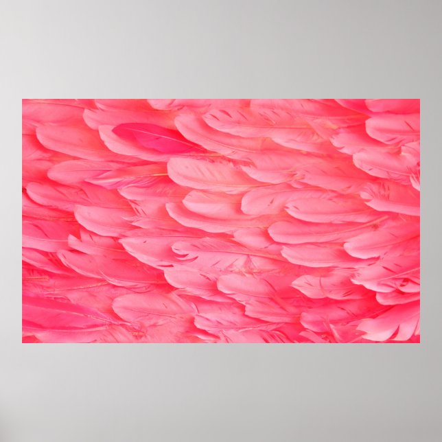 Poster Flamingo Rosa Feathersflamingo,pena,rosa,textura (Frente)