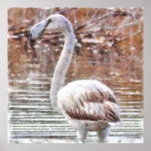 Poster Flamingo Watercolor Exótico