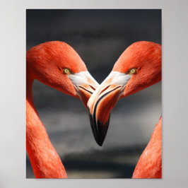 Poster Flamingoes no Amor