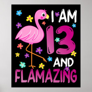 Poster Flamingos  Eu Tenho 13 13 surpreendentes Aniversár