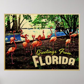 Poster Flamingos Rosa Flórida
