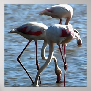 Poster Flamingos Tempo de Alimentação Pintura em acrílico