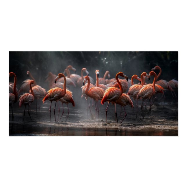 Pôster Flamingos Tropicais (Frente)