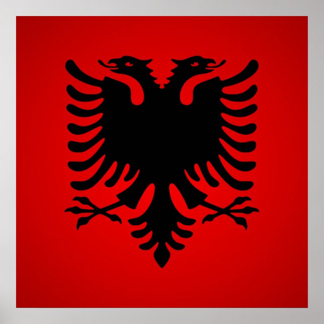 Pôster Flamuri i shqiperise (Frente)