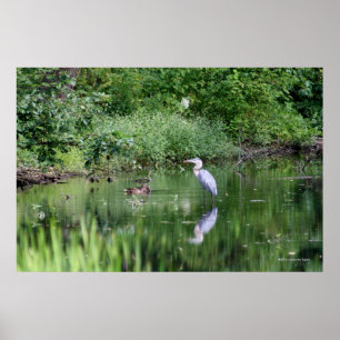 Pôster Flashes do tempo perto em um minuto - da