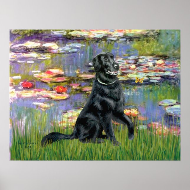 Poster Flat Coated Retriever 2 - Lírios 2 (Frente)