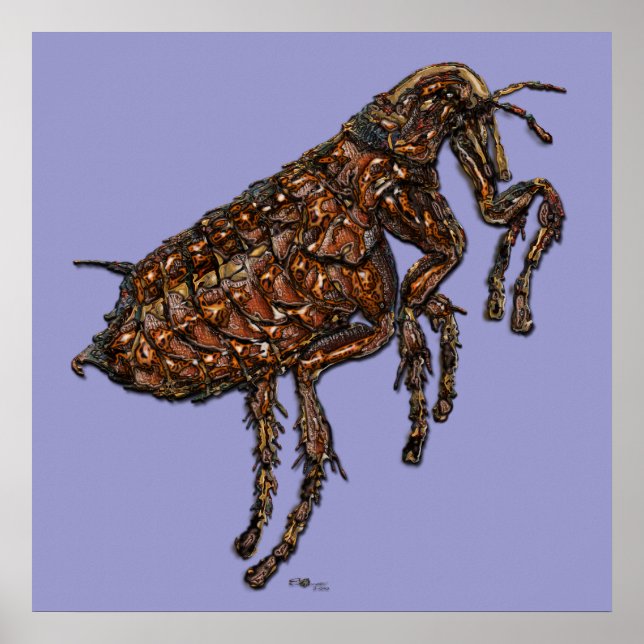 Pôster Flea em Lilac (Frente)