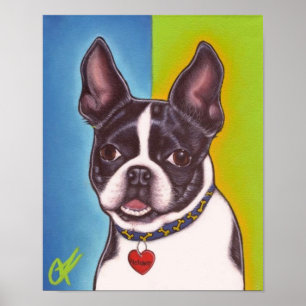Pôster Fletcher a Boston Terrier