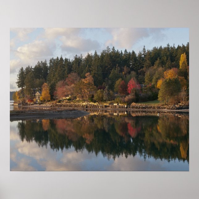 Pôster Fletcher Bay (Frente)