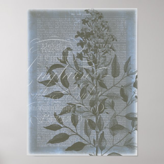 Pôster Fleur de Bleu I (Frente)