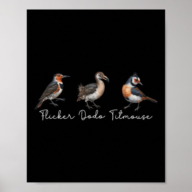 Poster Flicker Dodo Titmouse Funny Bird Clever Birdwatche (Frente)