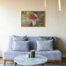 Pôster Fliegenpilz im Wald  Kunstvolles Poster