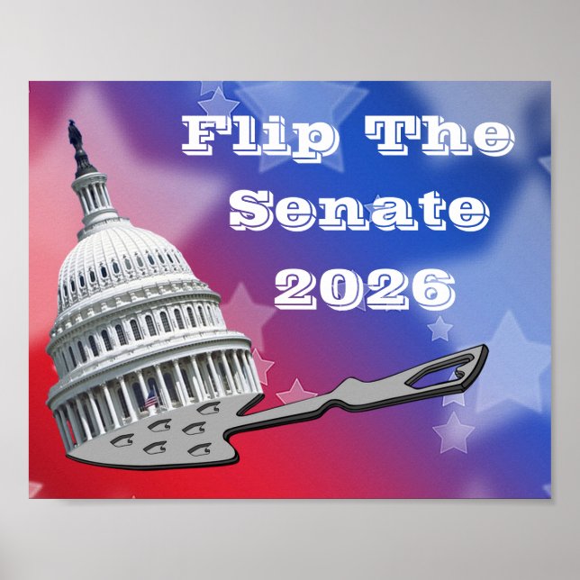 Poster Flip The Senate Vote 2026 (Frente)