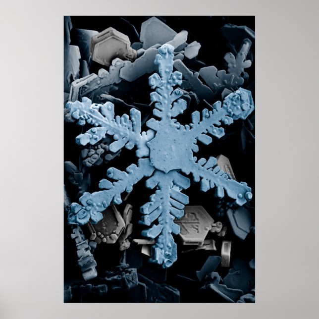 Poster Floco de neve hexagonal magnificado (Frente)