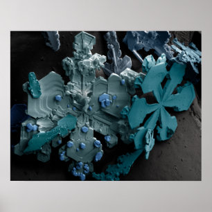 Pôster Flocos de neve