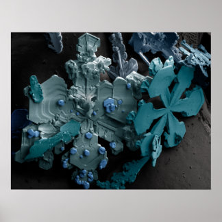 Pôster Flocos de neve