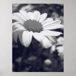 Poster Flor