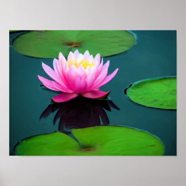 Poster Flor 06 Ninféia Rosa (Frente)