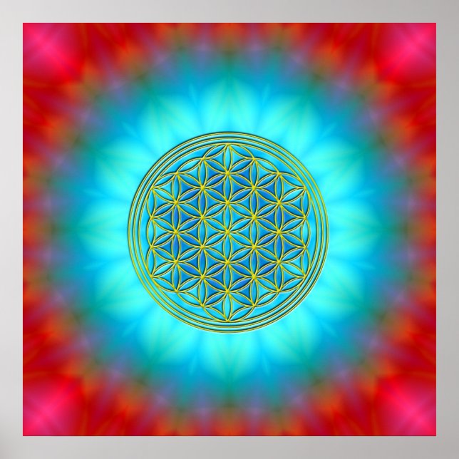 Poster Flor a vida motivo 11 (Frente)