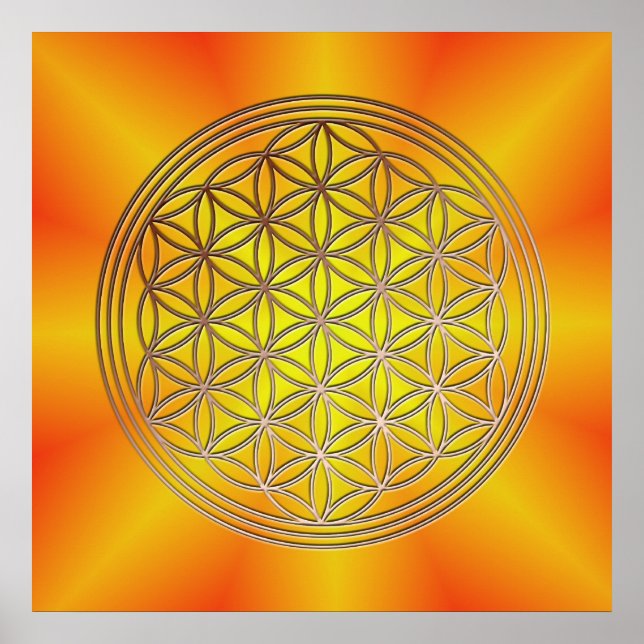 Poster Flor a vida motivo 5 (Frente)