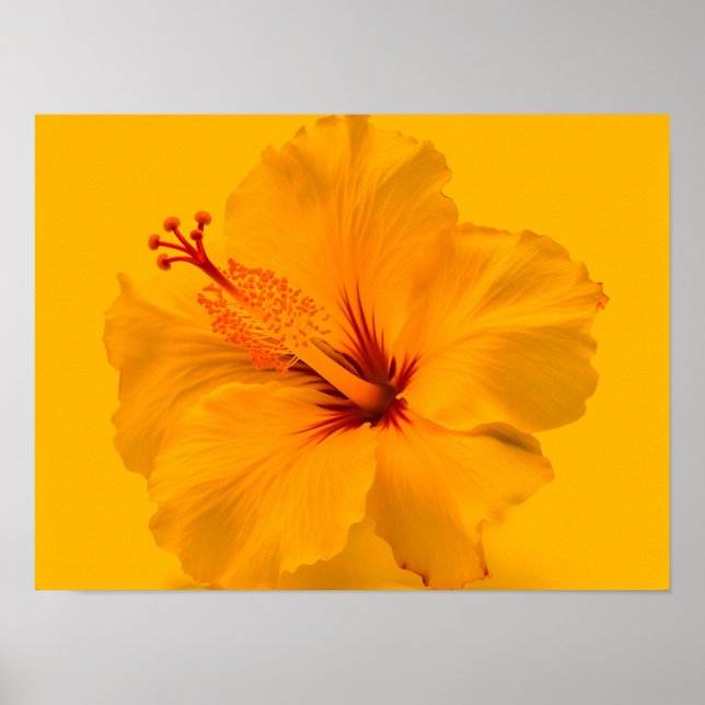 Poster Flor Amarelo (Frente)