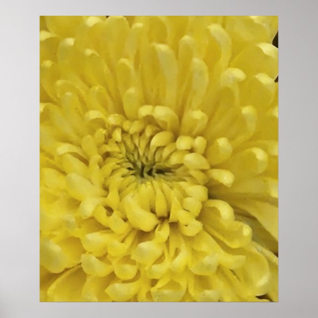 Poster Flor Amarelo (Frente)