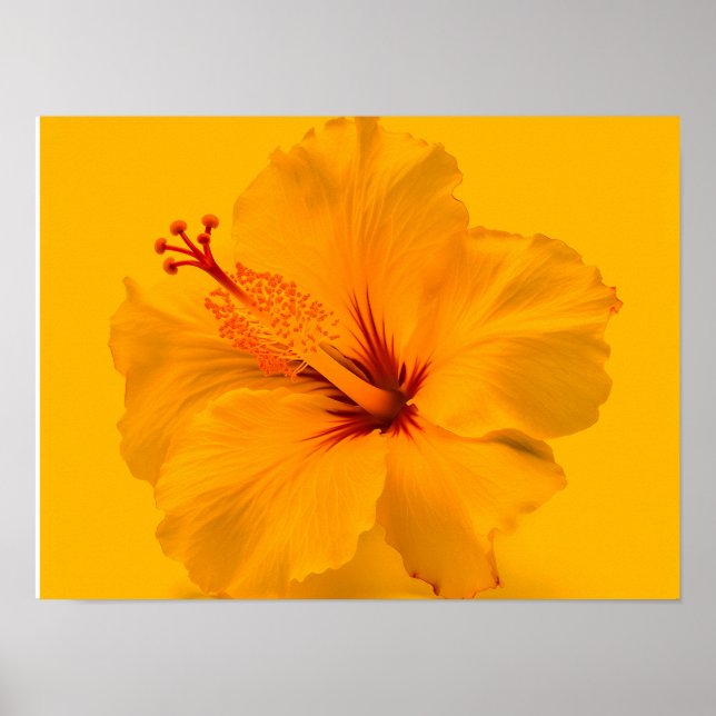 Poster Flor Amarelo (Frente)