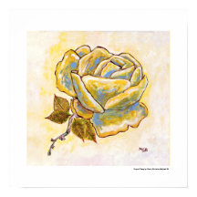 Flor Amarelo Único Flor Floral Sul da França