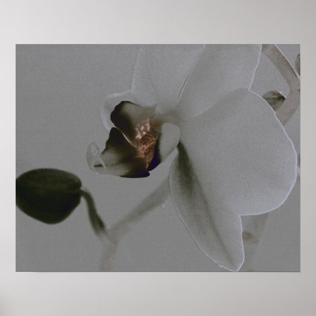Pôster Flor Artística em Tons Cinza (Frente)