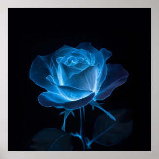 Poster Flor Bioluminescente Rosa Azul a Preto