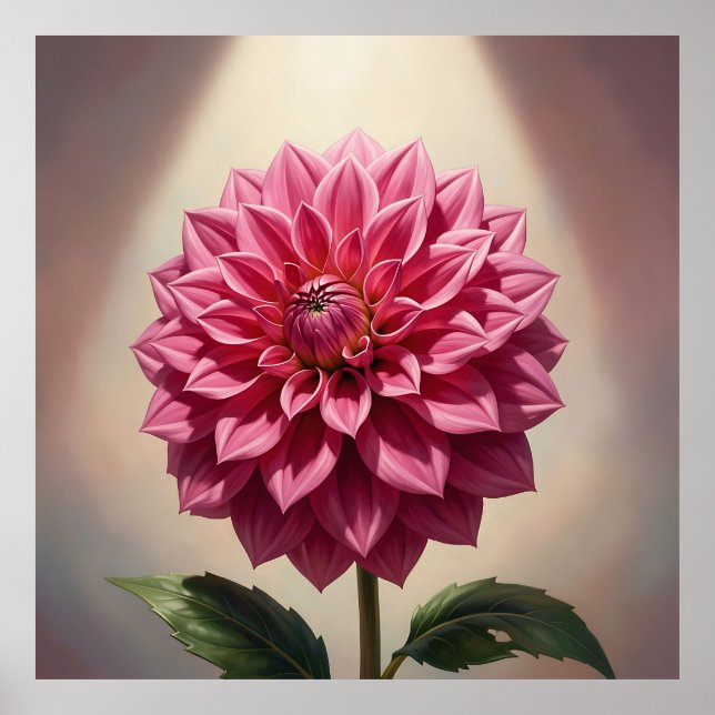 Poster Flor Botânica de Dália Rosa (Frente)
