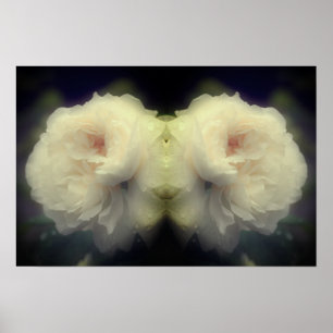 Poster Flor Branca Em Cheio Espelho De Sangue De Abstrato