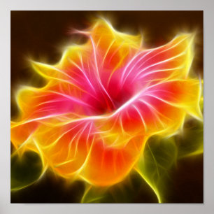 Poster Flor colorida brilhante do hibiscus