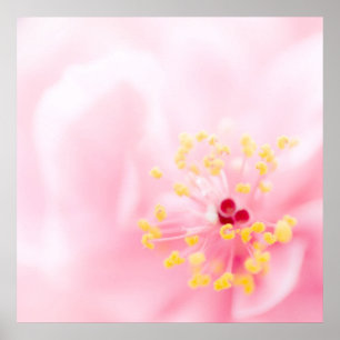 Pôster Flor cor-de-rosa