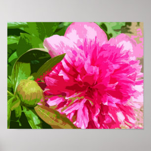 Pôster Flor cor-de-rosa da peônia