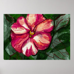 Poster Flor cor-de-rosa do bálsamo