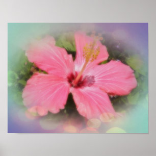 Poster Flor cor-de-rosa do hibiscus