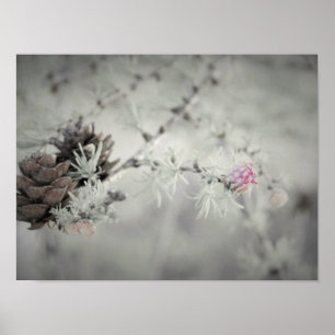 Poster Flor cor-de-rosa no larício preto e branco