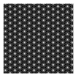 Pôster Flor da geometria sagrado da vida