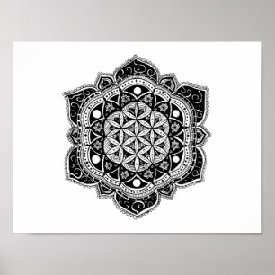 Pôster Flor da mandala da vida
