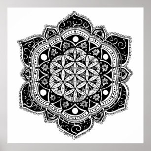 Poster Flor da mandala da vida