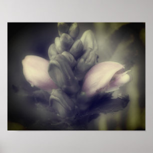 Poster Flor Da Testa Em Cor Parcial