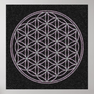 Poster Flor da vida