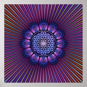 Pôster FLOR DA VIDA / Blume des Lebens - Mandala II