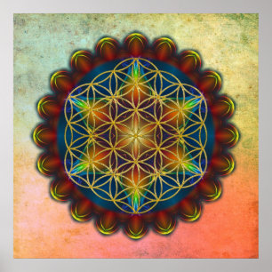 Pôster FLOR DA VIDA / Blume des Lebens - Mandala III