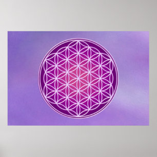 Pôster Flor da vida - coroa Chakra