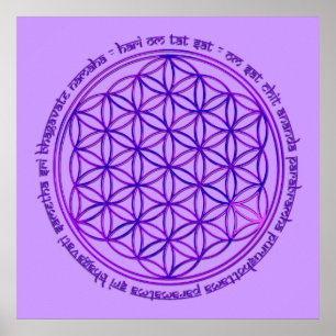 Pôster Flor da vida - mantra de Moola - violeta